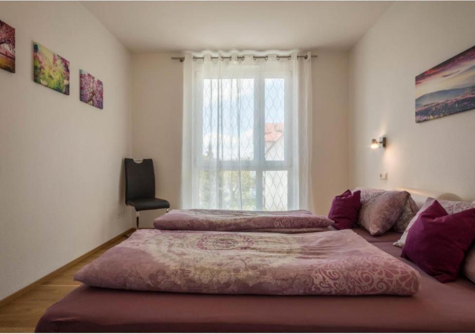 Iluna Friedrichshafen Luaran gambar